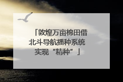 敦煌万亩棉田借北斗导航播种系统实现“精种”